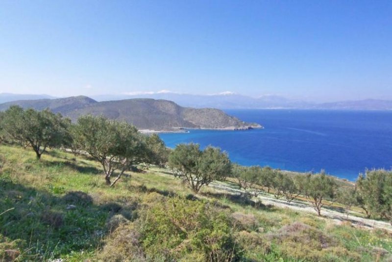 Kavousi Kreta, Tholos: Grundstück mit Baugenehmigung und herrlichem Meerblick zu verkaufen Grundstück kaufen